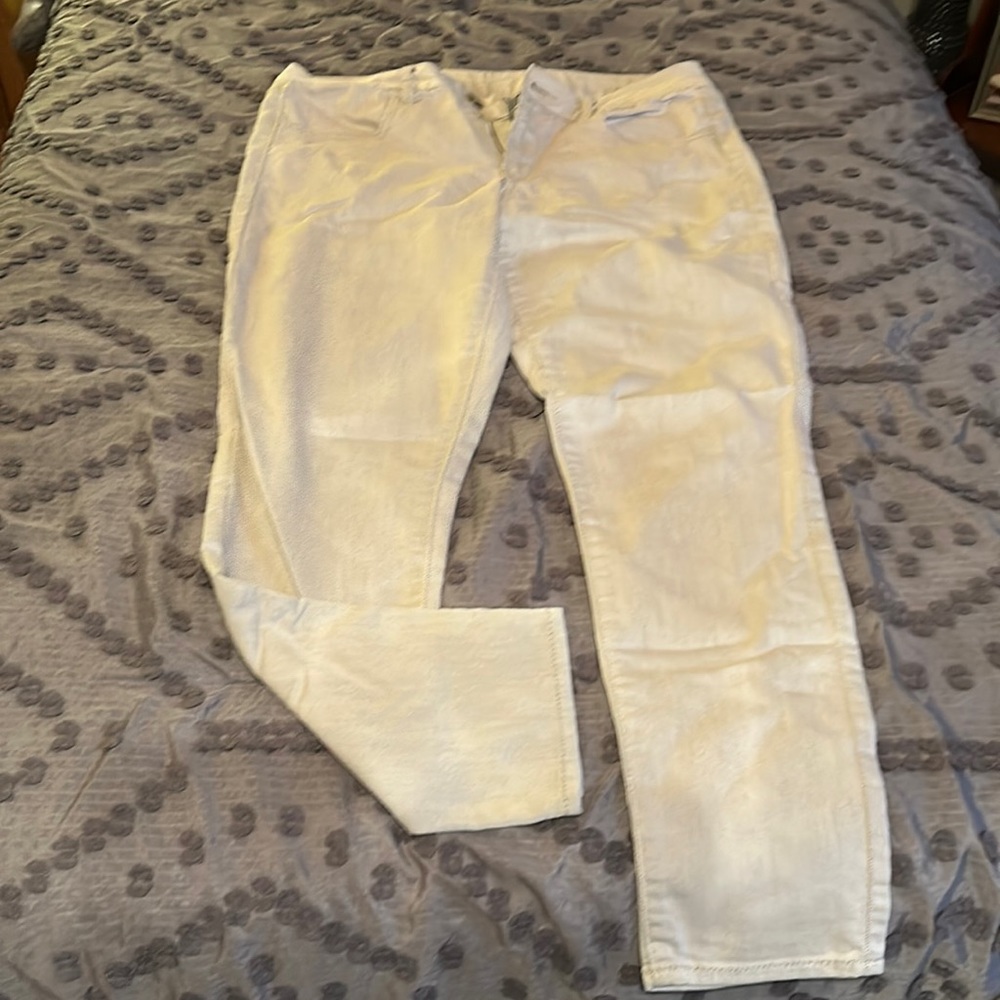 Size 12 AE Jeggings Stretch